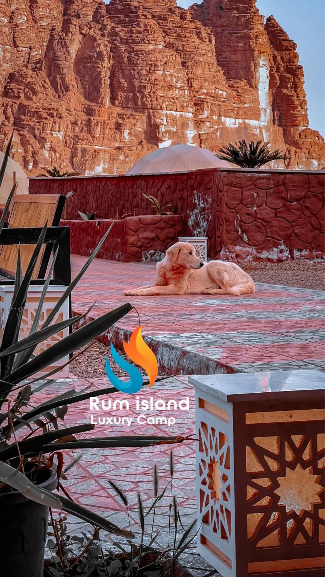 Rum Island Luxury Camp & Bubbles Hotel Wadi Rum Eksteriør bilde